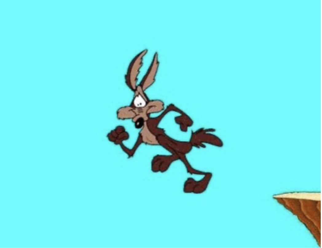 Read more about the article So, you get used to it …